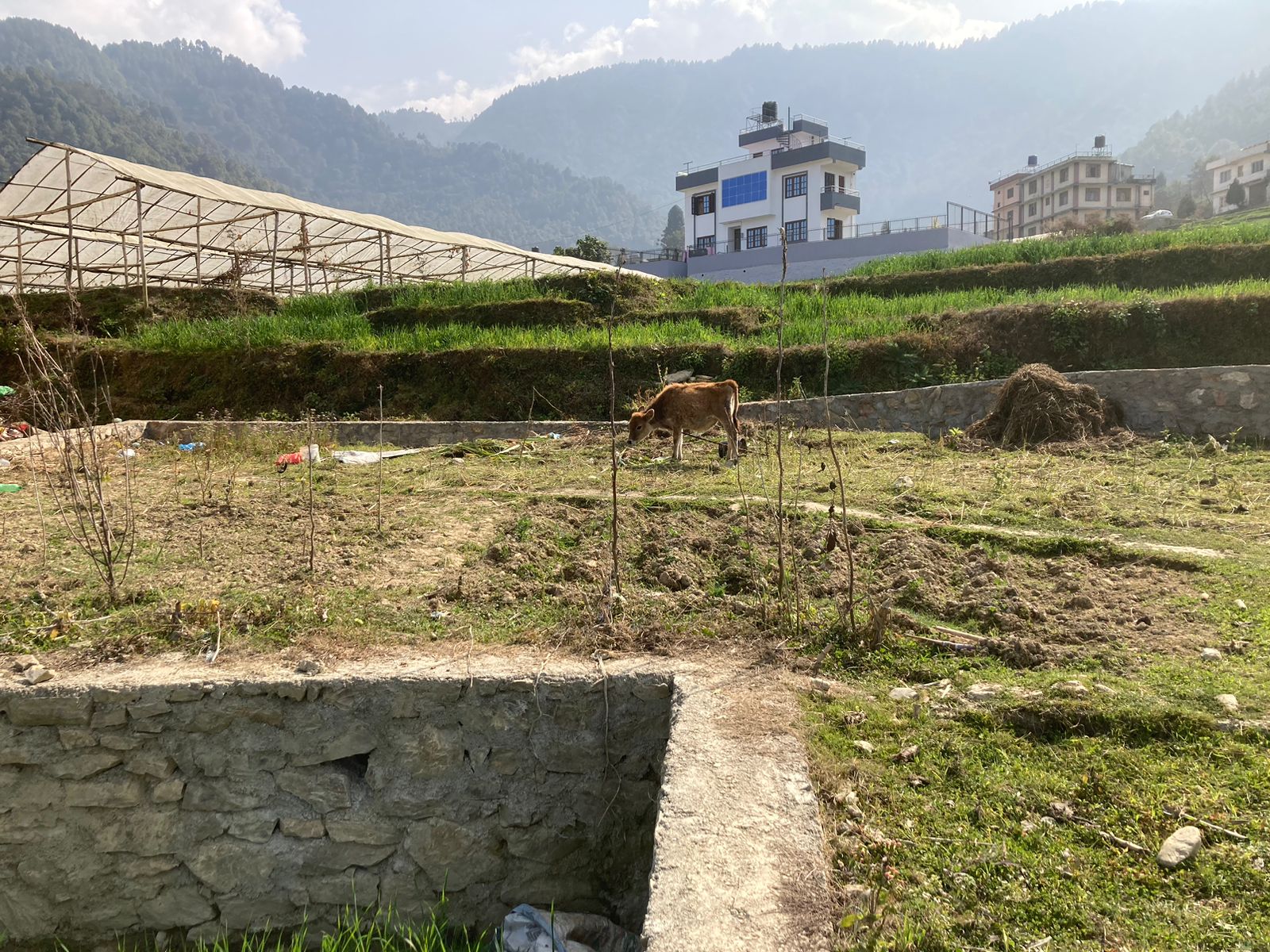 Picture of Mahalaxmi Municipality, Bagmati